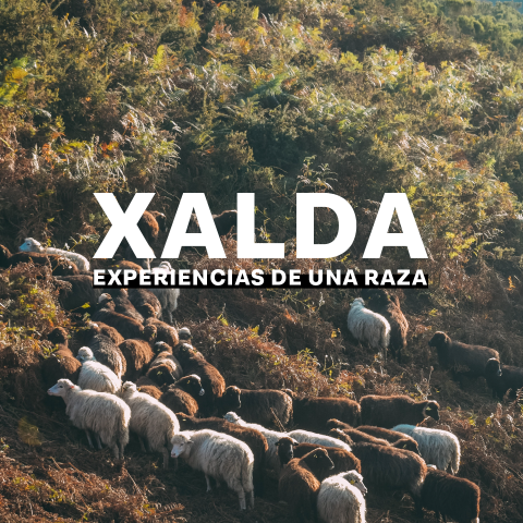 Organización y producción de evento para la presentación del documental "Xalda, experiencias de una raza", de Nunatak Producciones.